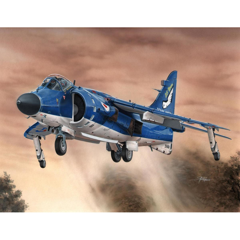 Sea Harrier FA.2 Hi-tech. SPECIAL HOBBY SH72154